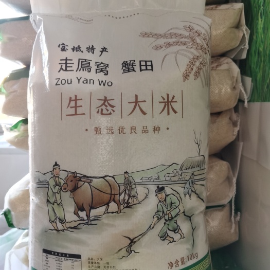 天津金稻939
