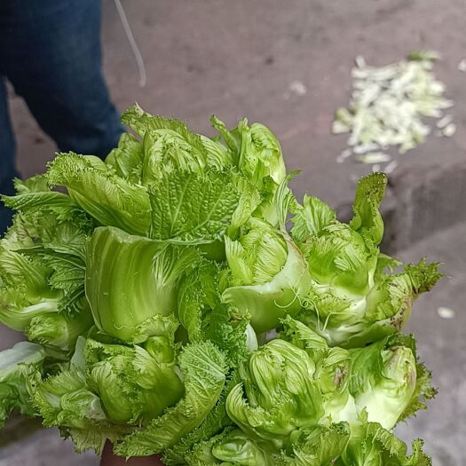 简阳市自己种的儿菜