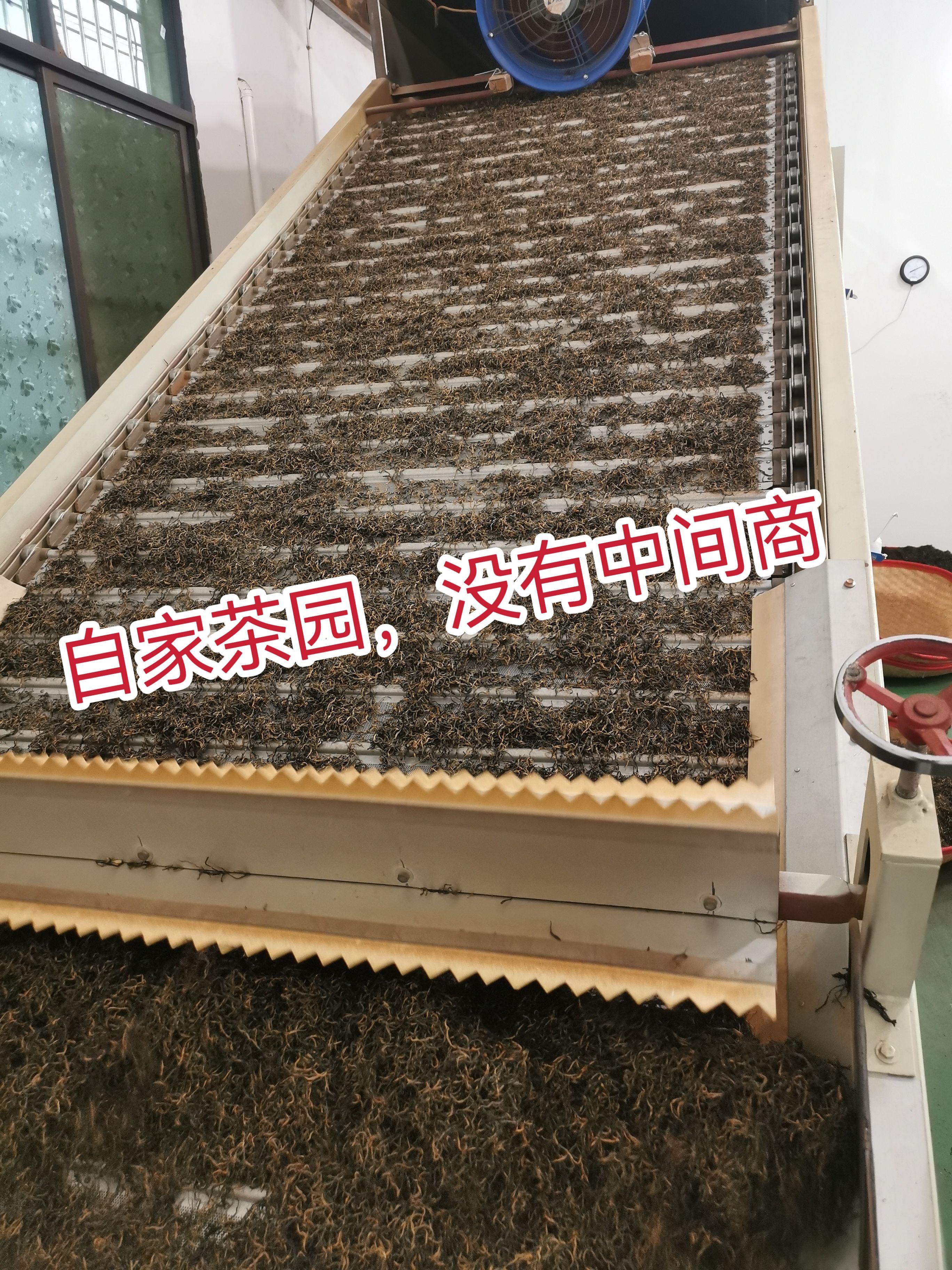 2025英德红茶鸿雁十二号奇香味滋甘醇回香持久英红九号