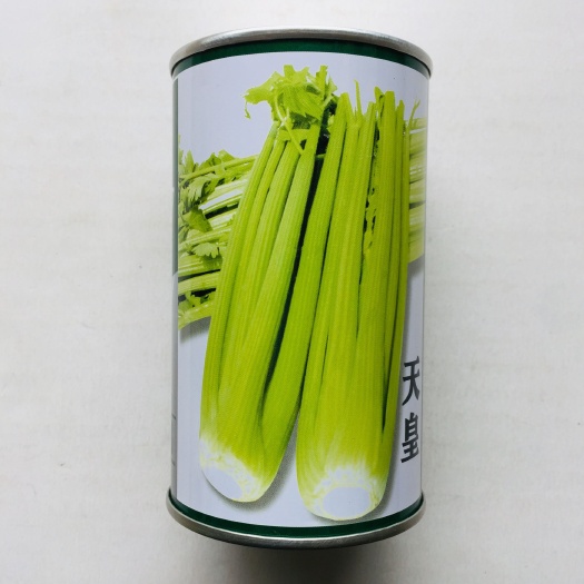 沭阳县天皇芹菜种子耐热耐寒性强抗枯萎病色泽黄亮芹菜种子品质脆嫩芹菜