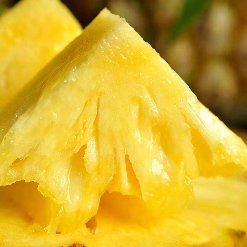 海南金钻凤梨新鲜水果当季香水菠萝特产大果手撕无眼凤梨整箱包邮