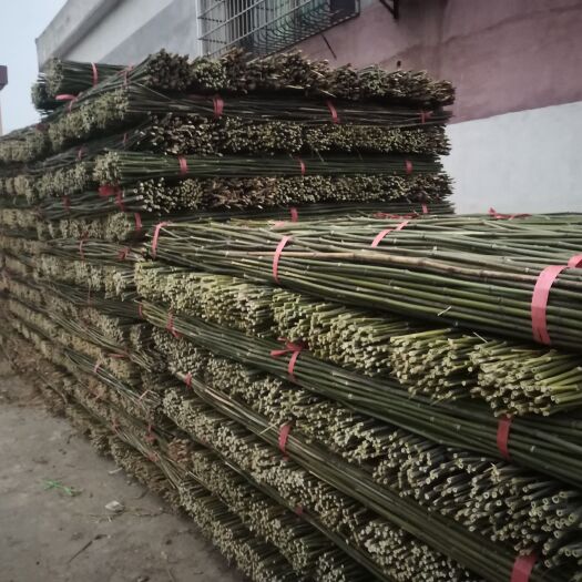 耒阳市2.4米100根菜架竹 豆角 茄子 西红柿圣女果