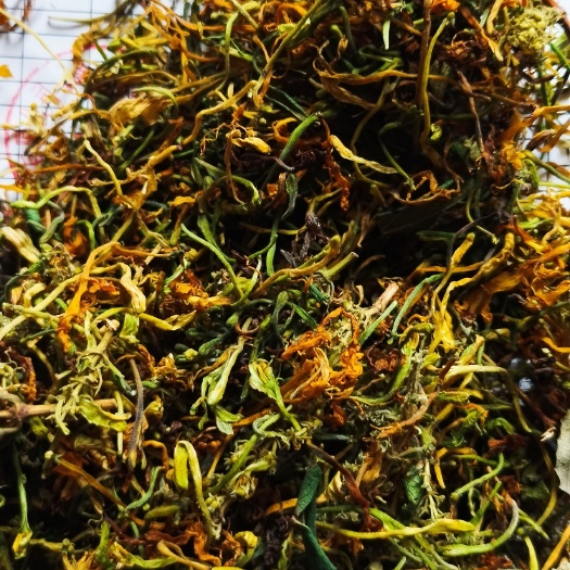 隆回县供应山银花