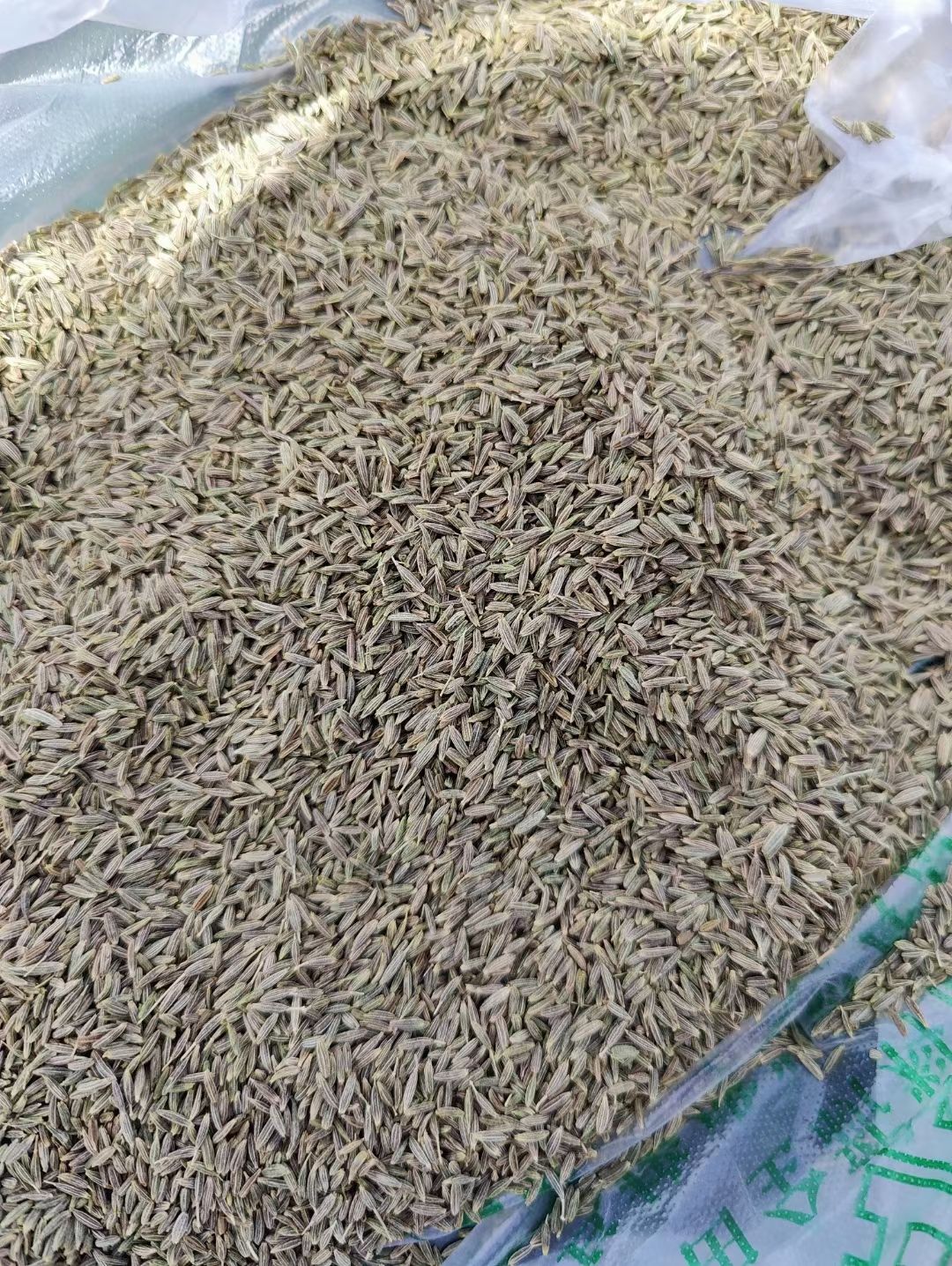 孜然颗粒烧烤用浓香烤肉调味精选撒料腌料香料可磨粉大货批发