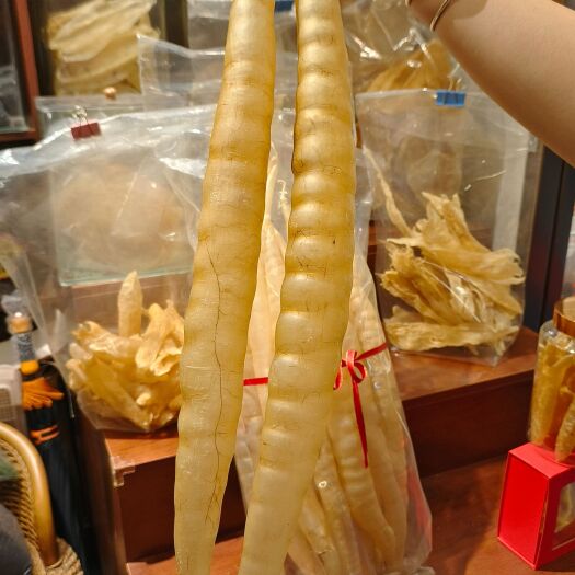 深圳八年八头鳗鱼老胶