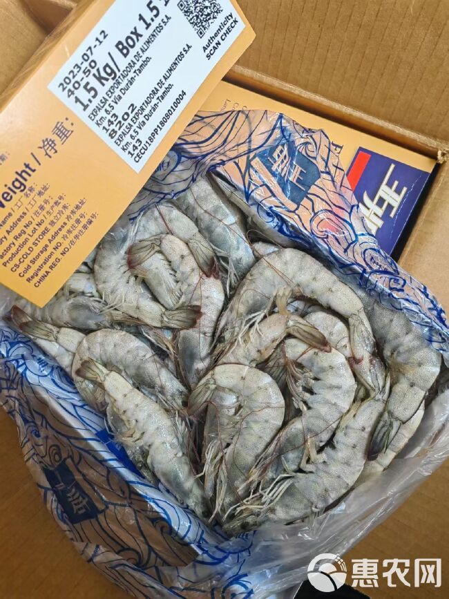 南美白对虾  正关  一手货源 盐冻1.5/1.65