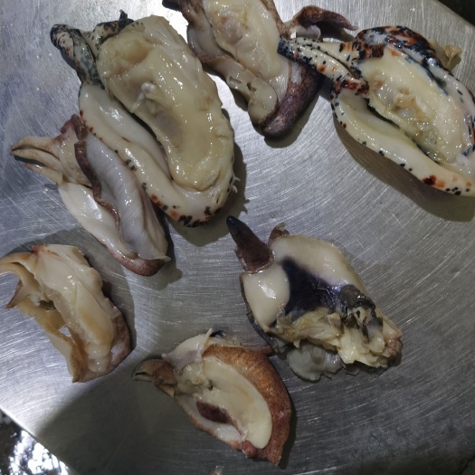 济南西非白螺，螺嘴mbf工厂
