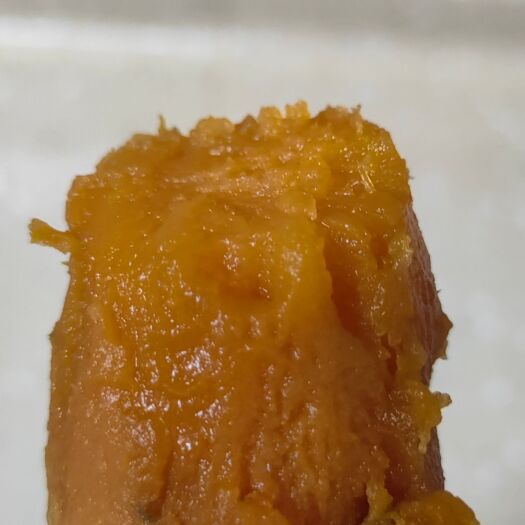 瓦房店市北纬39度大连 烟薯25号蜜薯