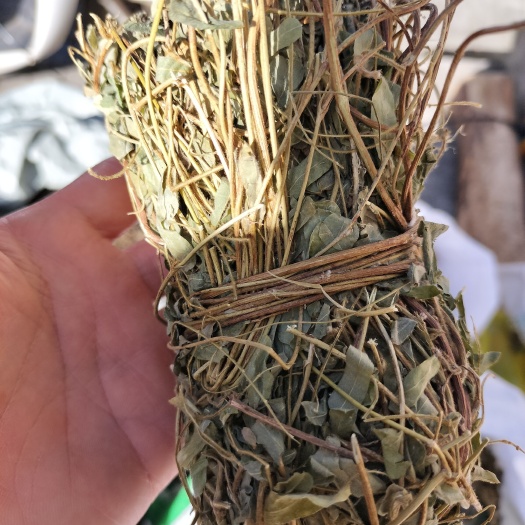 南宁扎把鸡骨草