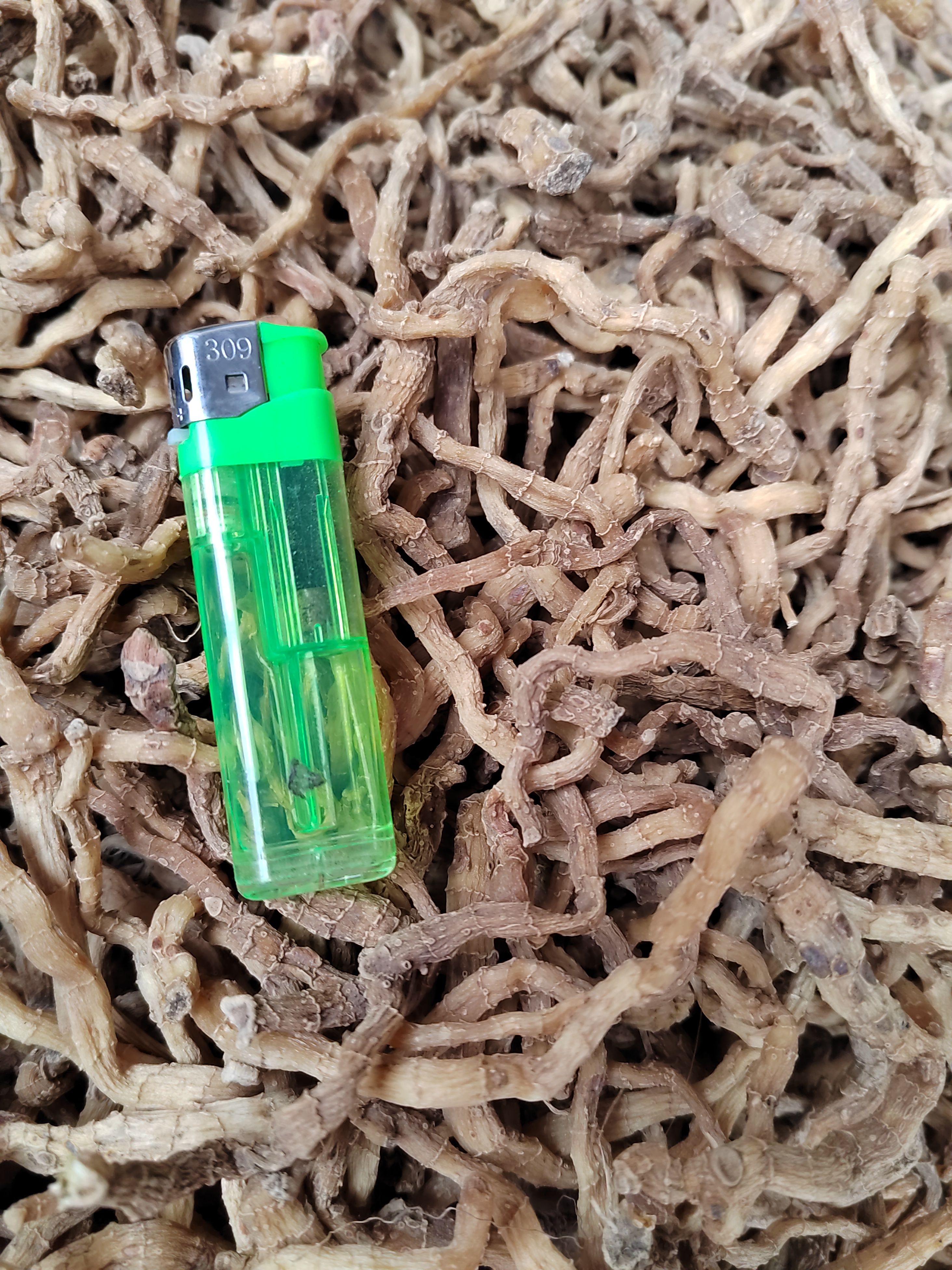 玉竹山玉竹玉竹