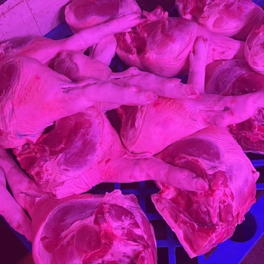 后腿肉