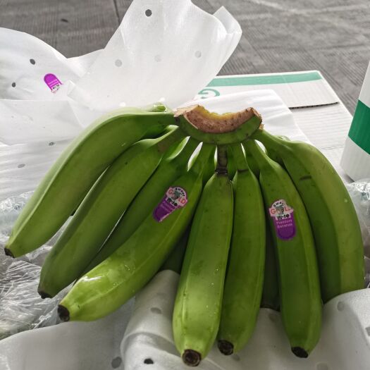 上海主要经营：菲律宾精品香蕉、包质保量、全国发货