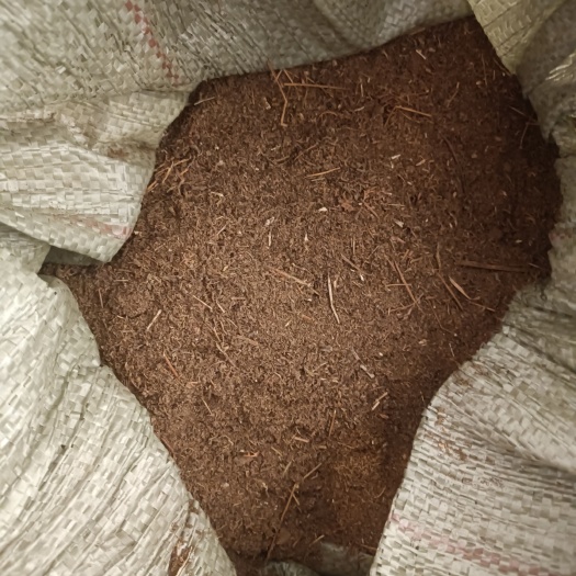 常德出售大量青蒿（农村自己种植青蒿）