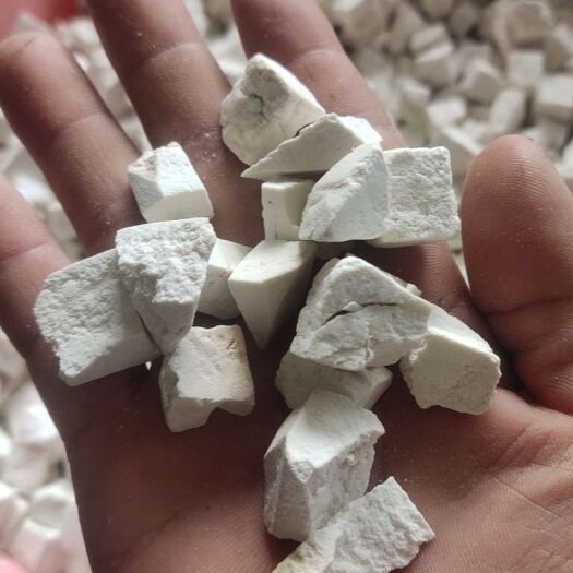 景谷县茯苓