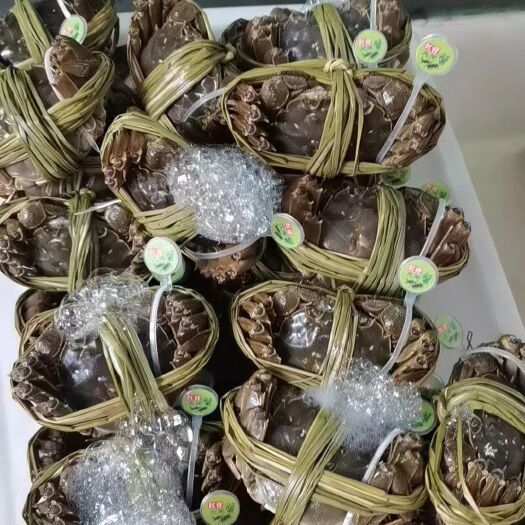 兴化市红膏大闸蟹