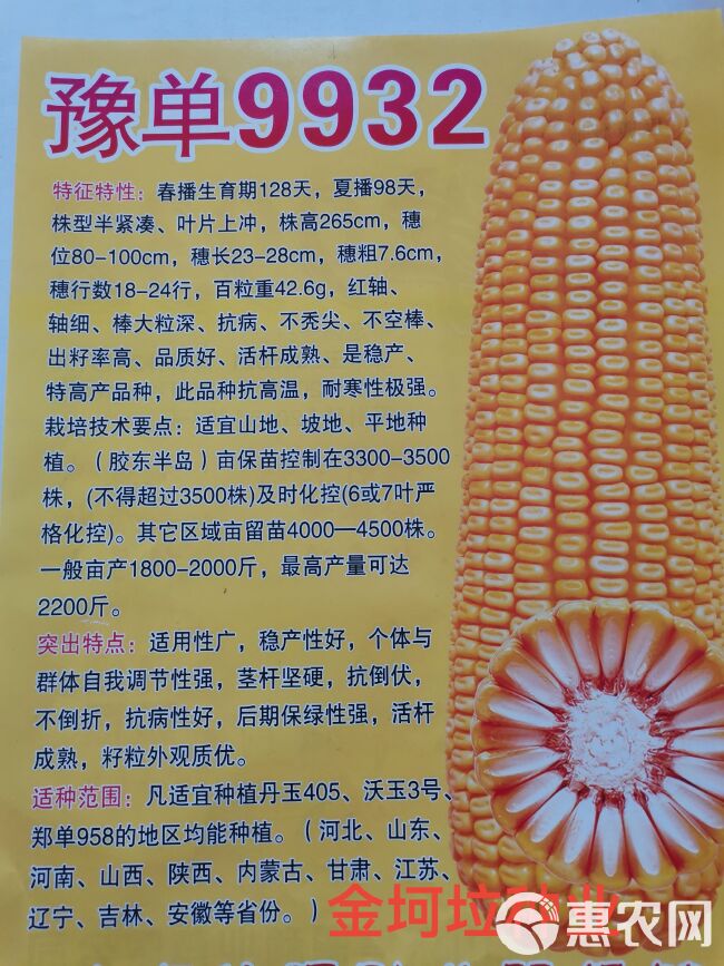 豫单9932玉米种子矮秆大穗抗盐碱耐脊薄抗高温产量高山东直批