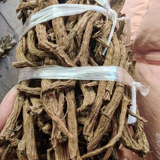 阳山县丹参