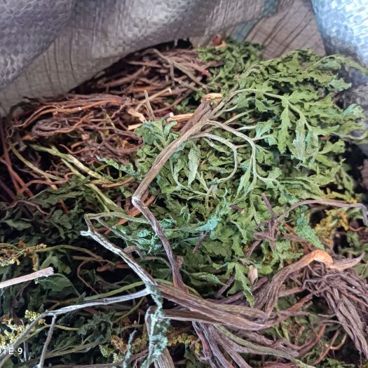 罗山县一朵云