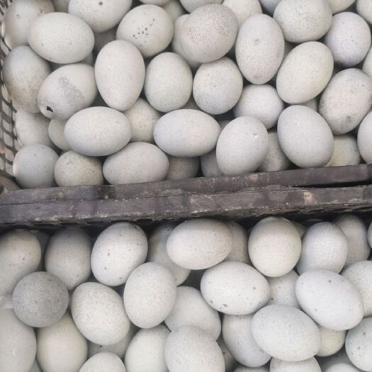莒县厂家直销松花蛋皮蛋，质优价廉