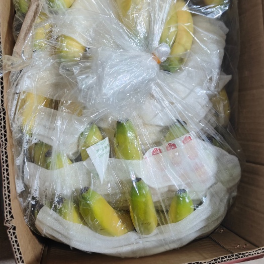 邯郸香蕉 国产蕉二黄蕉，青蕉生蕉大量有货一手货源可发全国需要联系