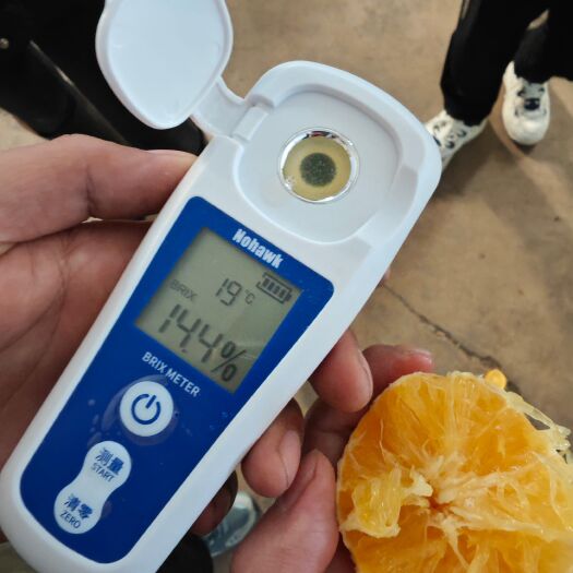 新平县云南新平冰糖橙