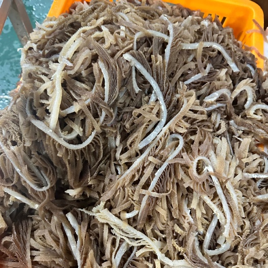 成都黑千层千层肚  毛肚火锅食材批发 冒菜店自助餐串串店