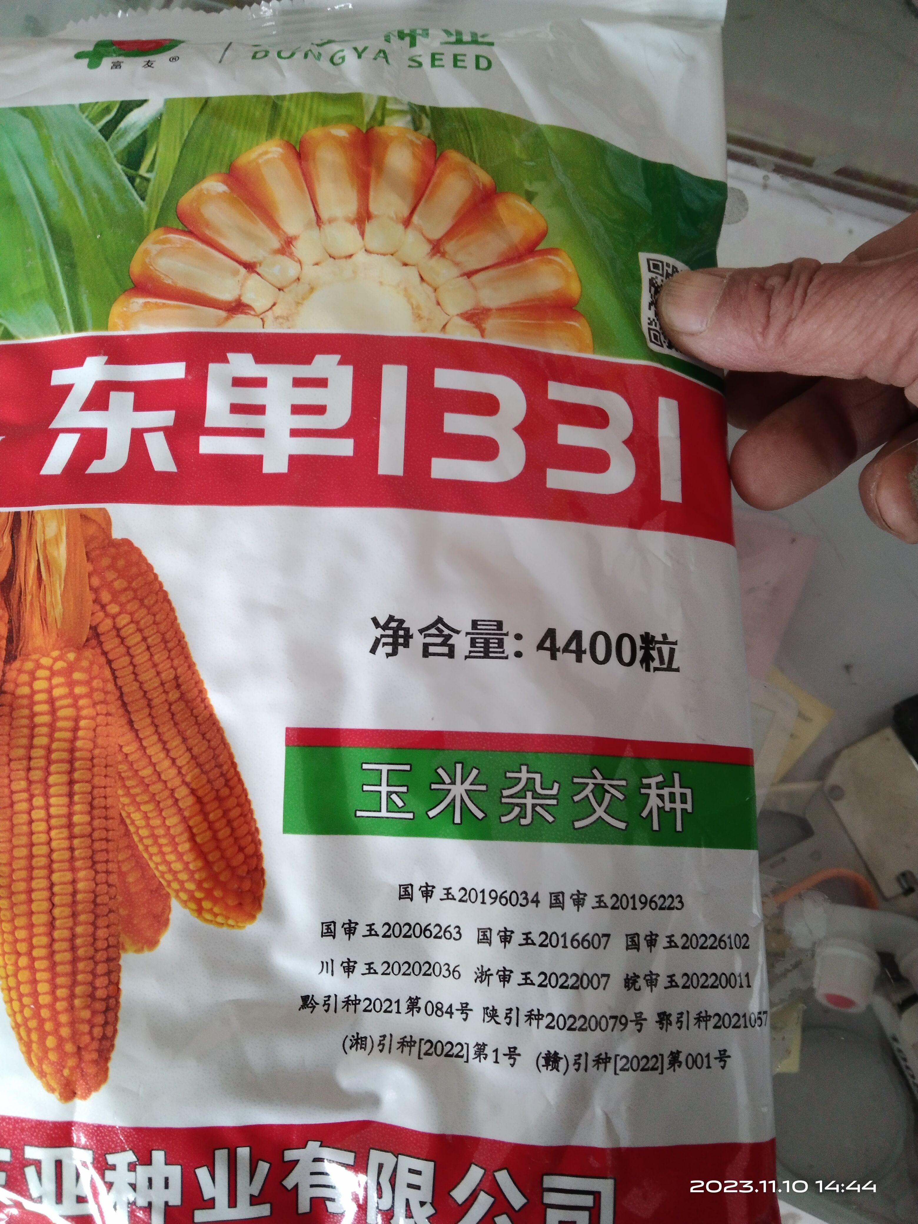 夏邑县东单1331玉米种子   ，4大区国审品东单1331