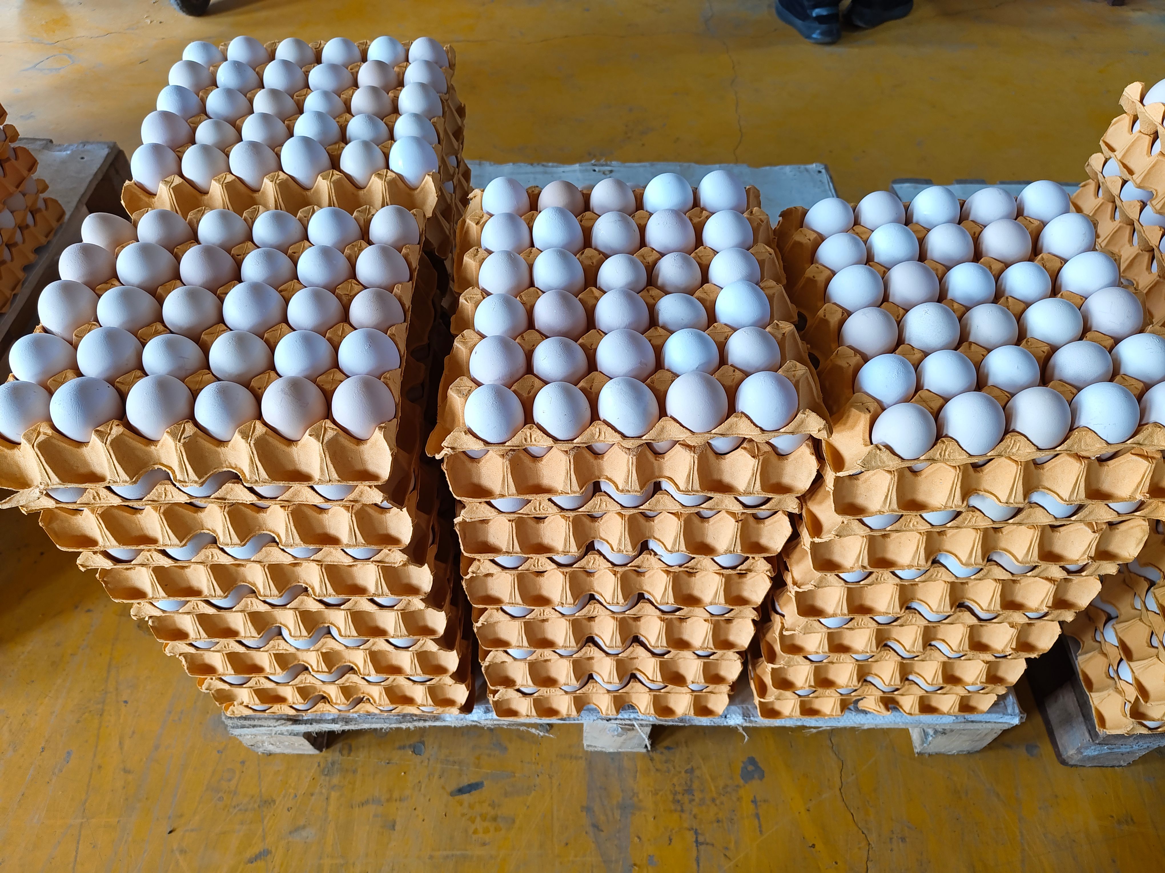 精品红心粉