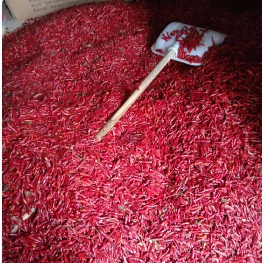 重庆市产地直营，货正价实，只做精品