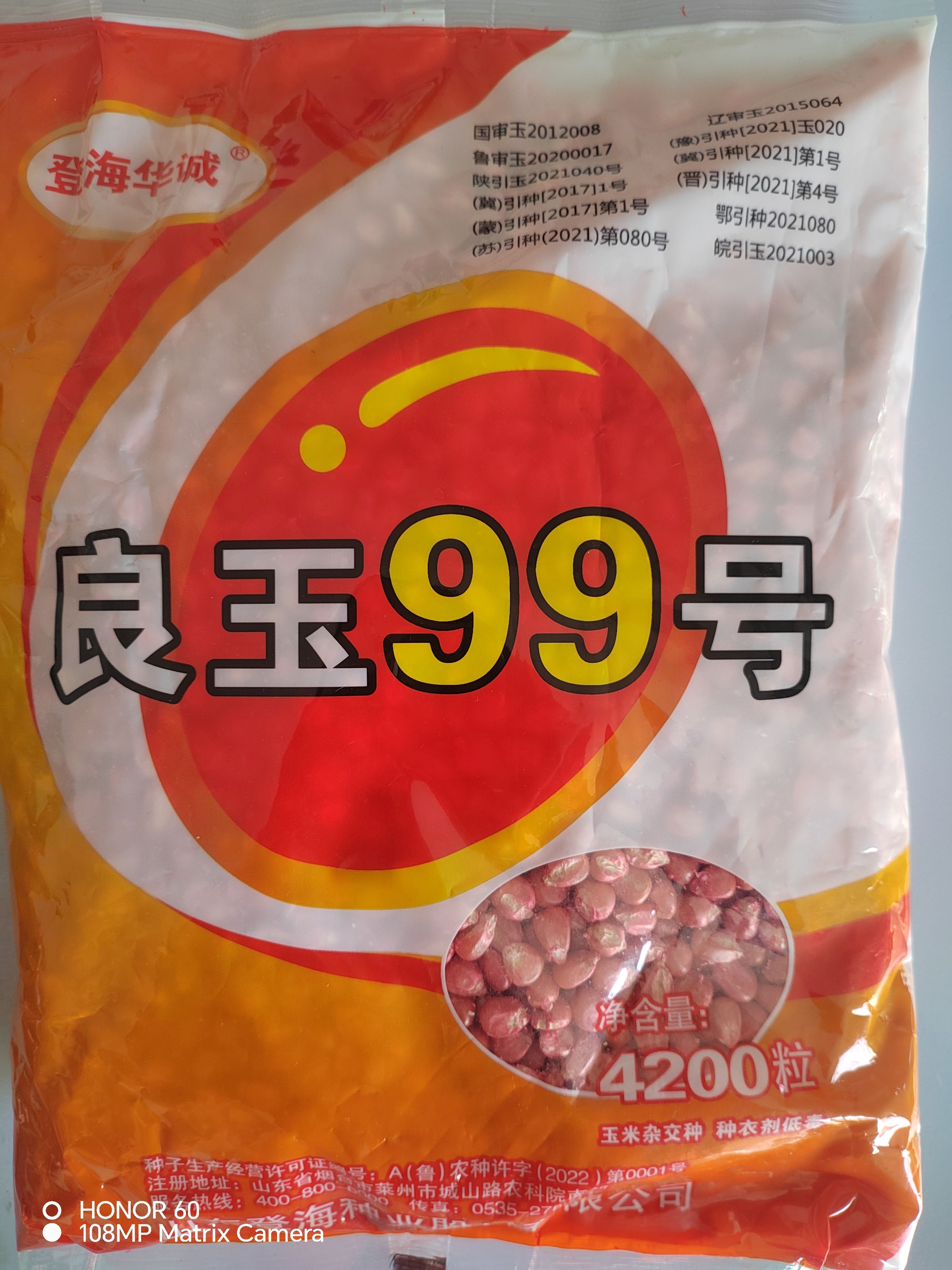 良玉99号登海良玉99玉米种4200粒包装春播夏播