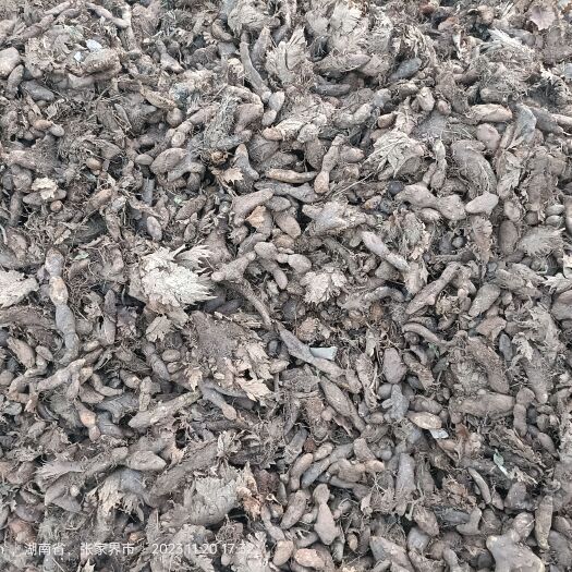 桑植县骨粹补大量有货