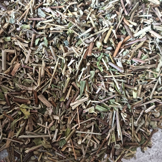 【透骨草】实物拍摄，珍珠透骨草，现货供应【鲁赣药材批发】