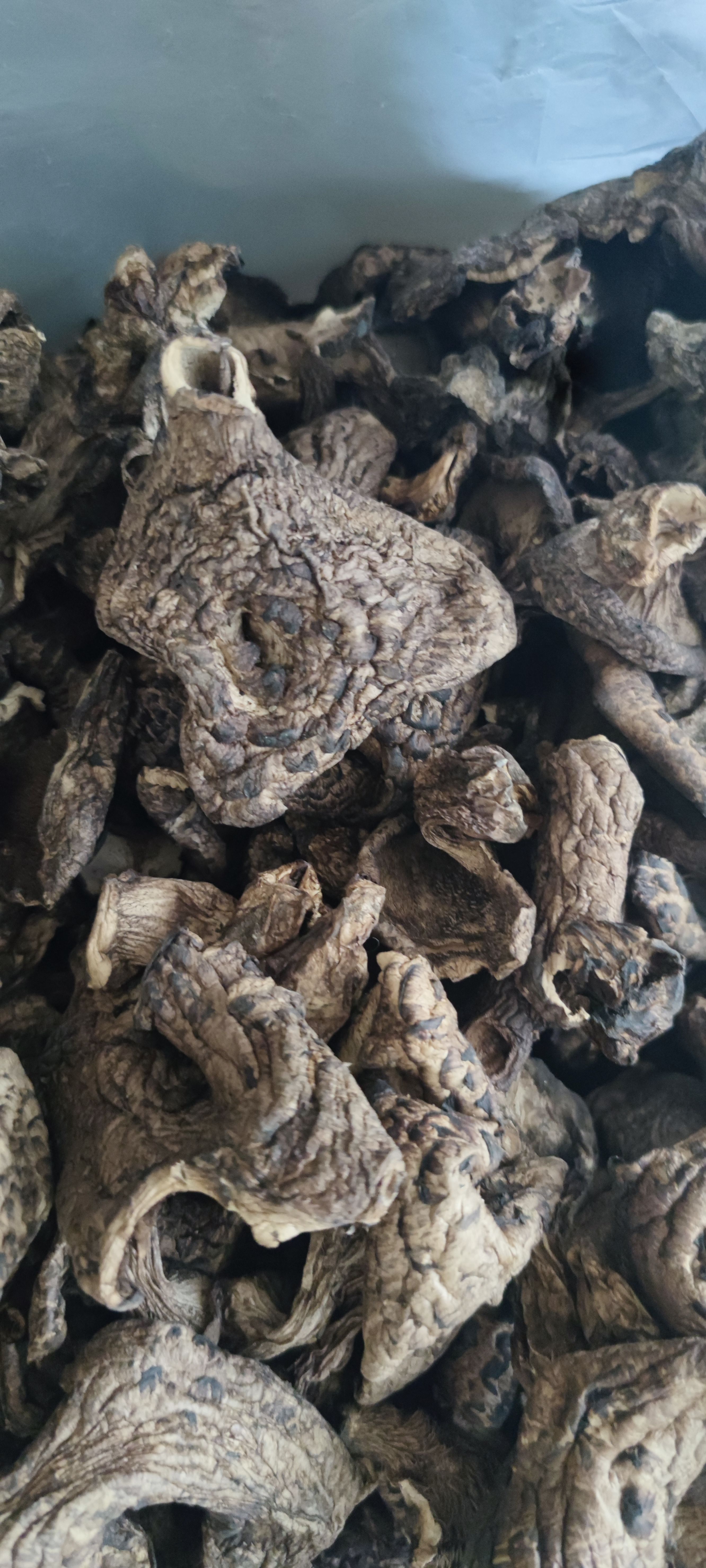 云南野生黑虎掌干货