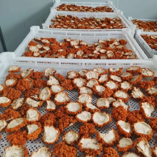 昆明云南基地直供金耳