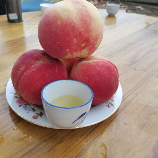 泰安秋甜桃树苗