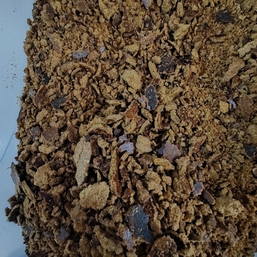 石家庄玉米油饼