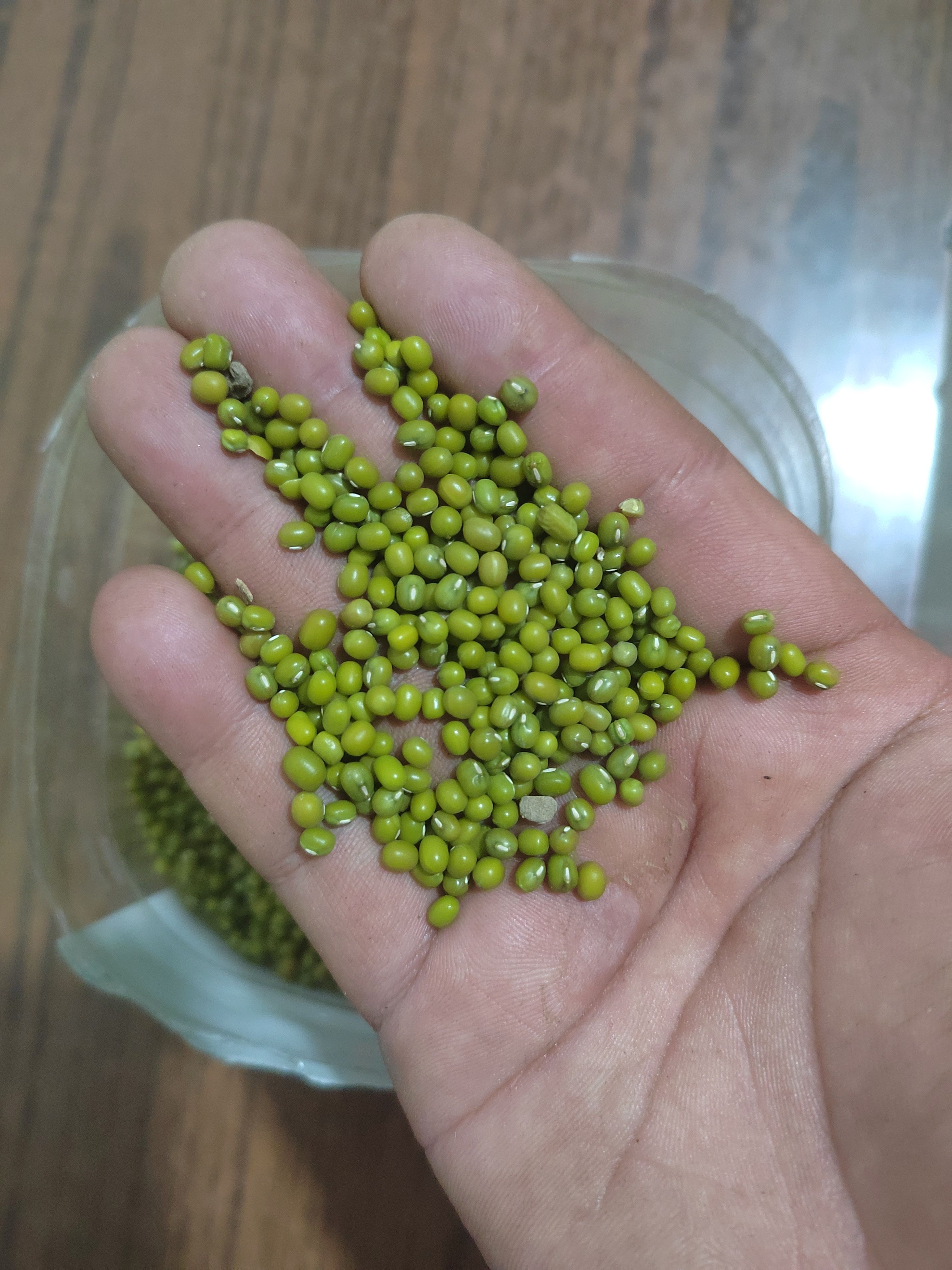 赤峰小粒绿豆，粮