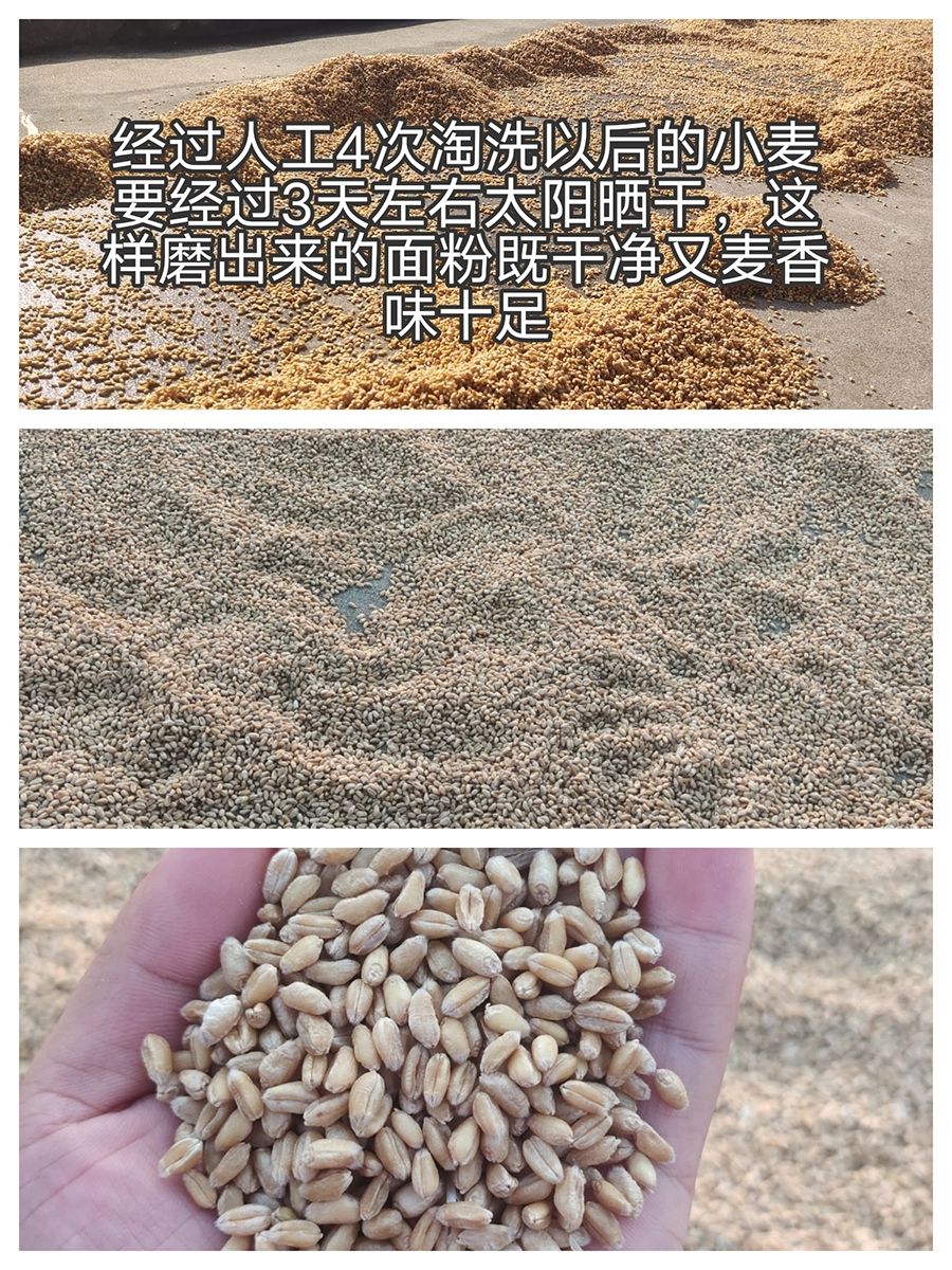 2023年山东农家新鲜现磨中粗玉米面粉小麦面粉小麦麸皮