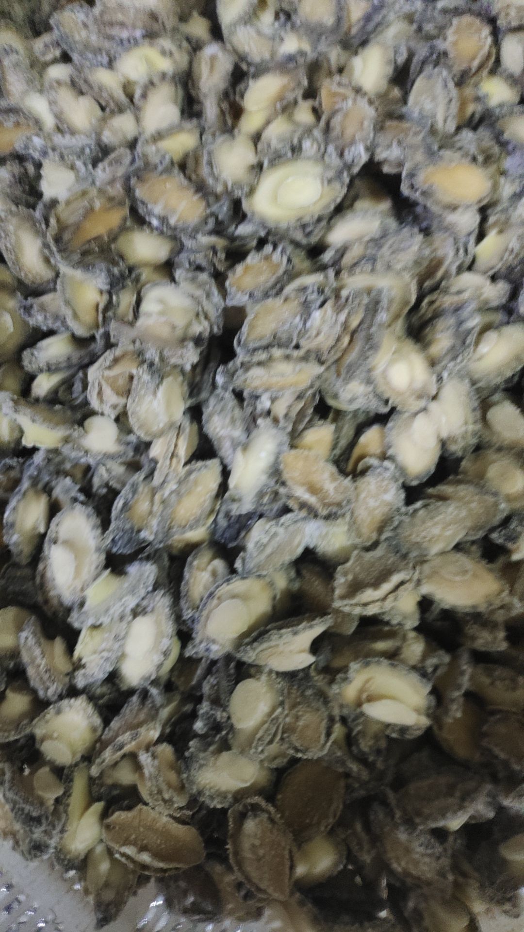 品质好，价格优惠，