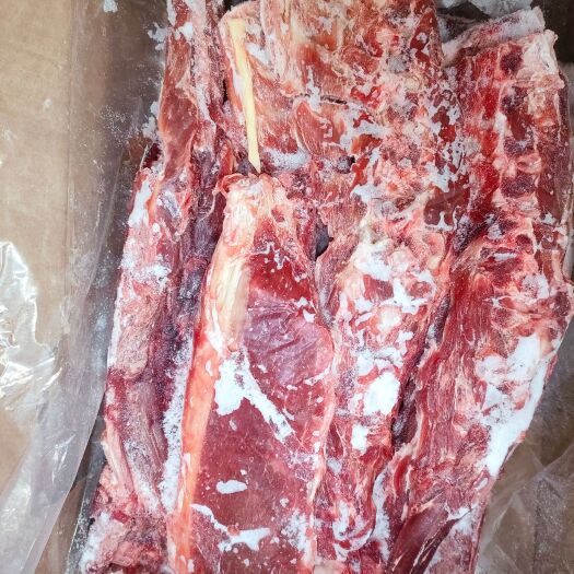 沈阳多肉羊蝎子