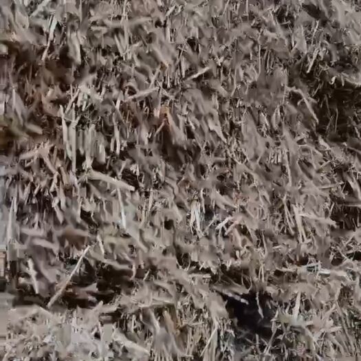 灵璧县麦秸秆