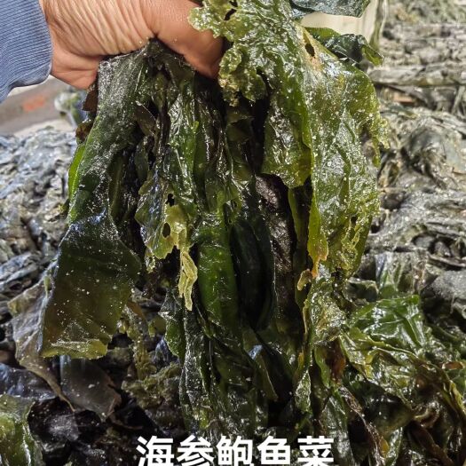 荣成市荣成盐渍海带海参鲍鱼菜