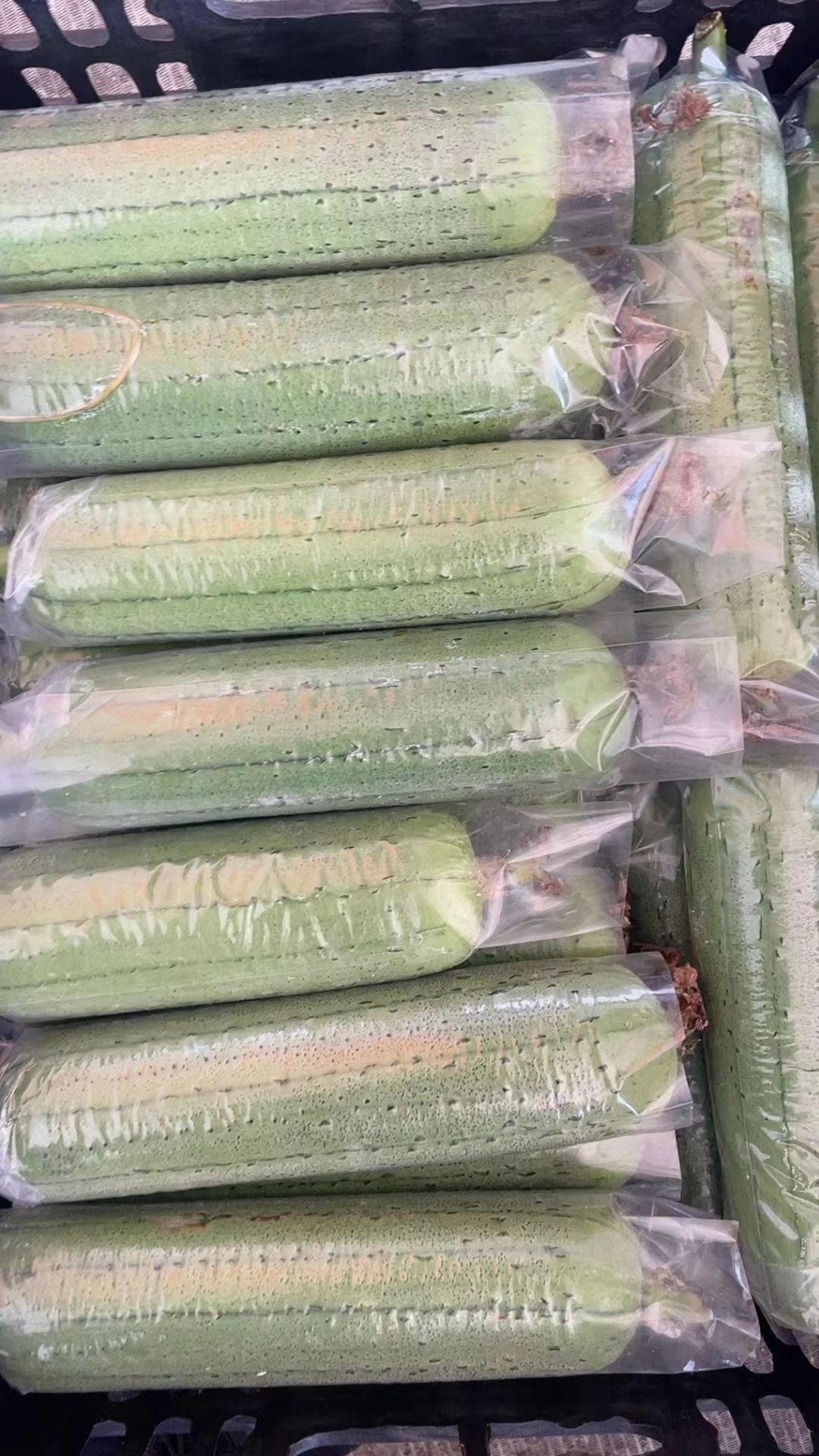 圆帅丝瓜，基地种植，支持各种规格打包，期待更多老板合