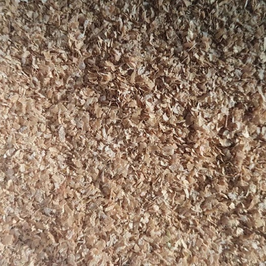 灵寿县大片麦麸，混合麸，纯麦麸，可做任何养殖类的饲料添加