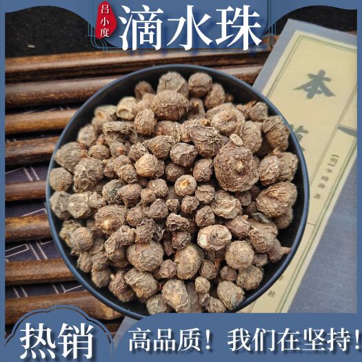 安国市滴水珠中药材石石里开一滴珠水滴珠独叶一支花岩芋天灵芋岩珠
