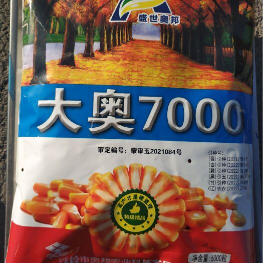 灯塔市大奥7000