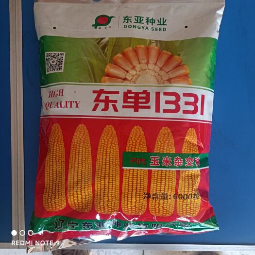 灯塔市东单1331