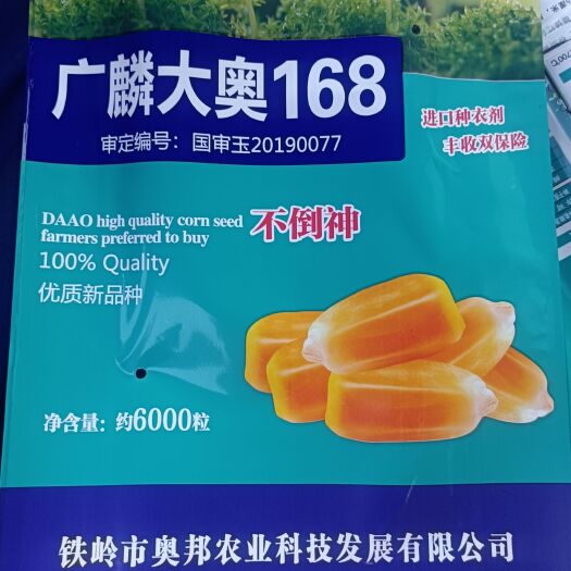 灯塔市大奥168