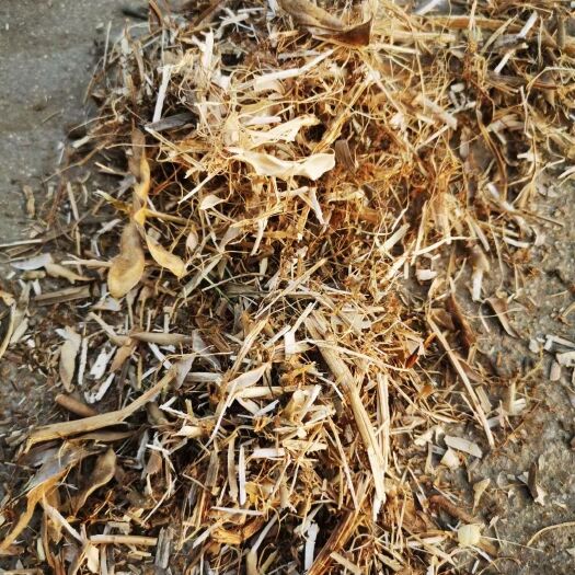 灵寿县优质大豆秸秆 切断豆秸 揉丝豆秸 豆秸细粉