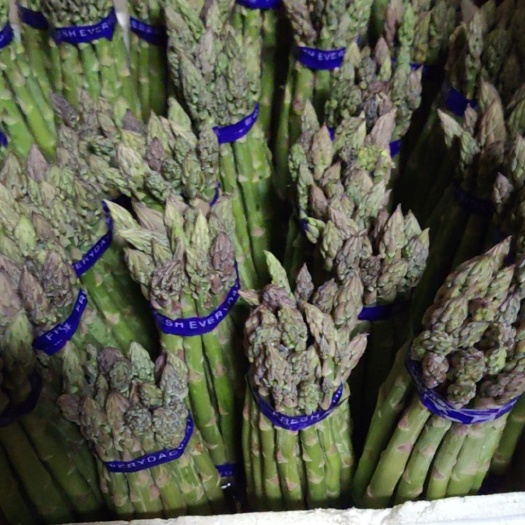 武威綠蘆筍